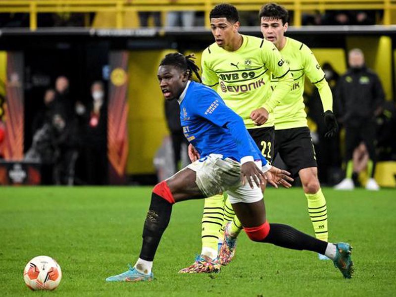 乐鱼(leyu)官网简介